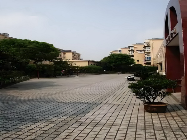 梧桐应恨夜来霜